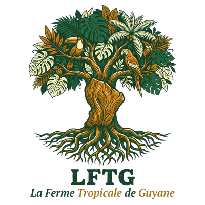 Logo LFTG