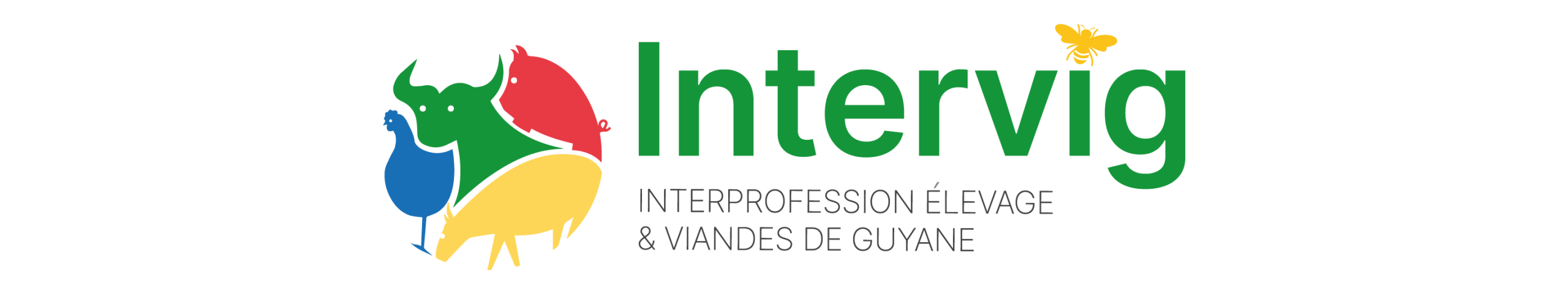 INTERVIG